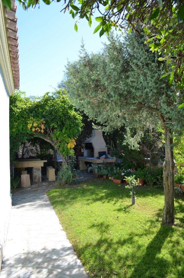 Iss Travel, La Padula - Apartments With Private Veranda And Parking サン・テオドーロ エクステリア 写真